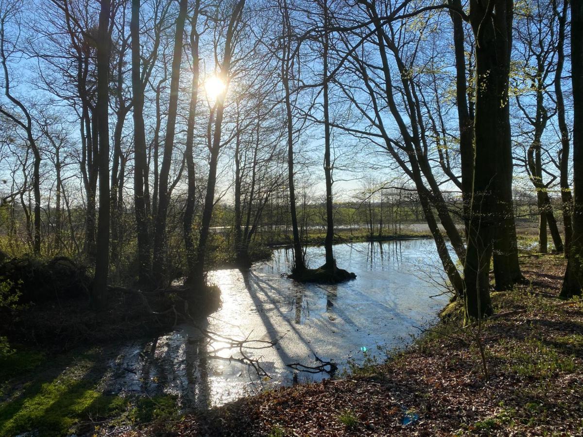 Nyopfort Luksusvaerelse I Naturskonne Og Rolige Omgivelser Branderup المظهر الخارجي الصورة